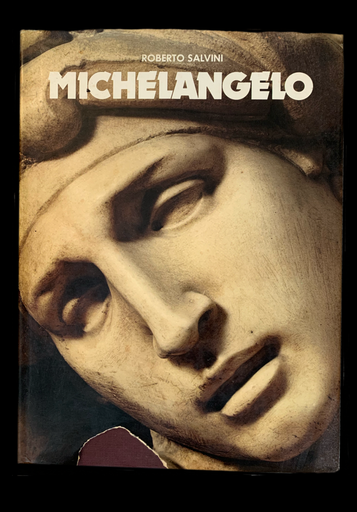 <strong>MICHELANGELO 1977</strong> ROBERTO SALVINI